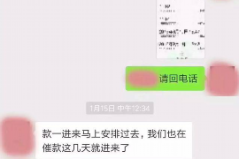 平远平远的要账公司在催收过程中的策略和技巧有哪些？